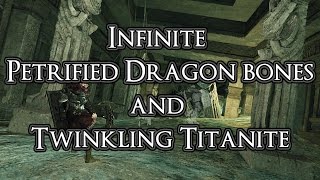 Dark Souls 2  Infinite Petrified Dragon Bone and Twinkling Titanite [upl. by Hadeehuat]