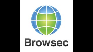 Browsec VPN  отзыв [upl. by Eniledam]