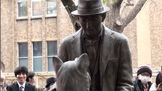 The EMOTIONAL Story of HACHIKO The faithful dog 🐶 [upl. by Wat]