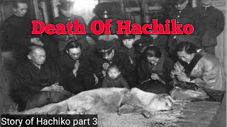 Hachi a dogs tale  the real story [upl. by Littell]