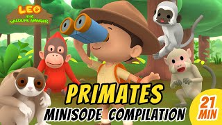 Primates Minisode Compilation  Leo the Wildlife Ranger  Animation  For Kids [upl. by Norad]