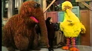 Sesame Street  Big Bird Wants a New Name Part 1 [upl. by Daffy931]