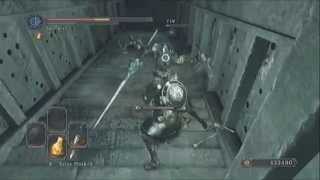 Dark Souls 2 Unlimited Twinkling Titanite and Petrified Dragon Bones Farming DLC [upl. by Tuinenga]