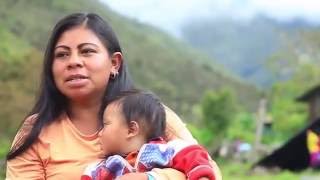 Documental Indígenas Uwa Colombia  Guardianes de la Madre Tierra [upl. by Remas116]