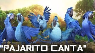 PAJARITO CANTA PAJARITO CANTA VERSION RIO  LA PELICULA [upl. by Leiuqese101]