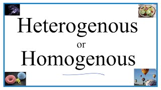 Heterogenous vs Homogenous Definitions Examples amp Practice [upl. by Yud394]