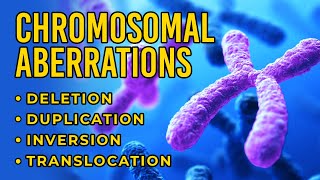 Chromosomal Aberrations  Deletion  Duplication  Inversion  Translocation [upl. by Eniamat]