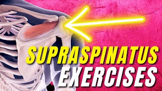 13 Supraspinatus Rotator Cuff Tear Stretches amp Exercises Beginner to Advanced [upl. by Esej]