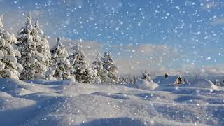 Winter wonderland with relaxing piano music Smart TV background video [upl. by Tonry]