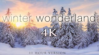 4K 11 Hours of Winter Wonderland  Calming Hang Drum Music for Relaxation Stress Relief UHD [upl. by Anayrb770]