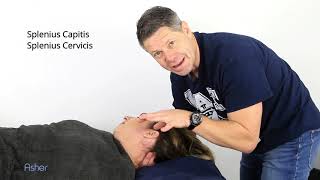 How To Massage  Splenius Capitis and Splenius Cervicis Muscles [upl. by Eignav]