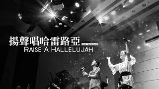 【揚聲唱哈雷路亞  Raise A Hallelujah】Live Worship  CROSSMAN、趙治達、張家綺 [upl. by Vizza188]