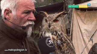 Mittelaltermarkt im Herzogenriedpark [upl. by Von]