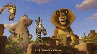 Madagascar 3 happy birthday part [upl. by Burkley]