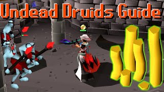 OSRS Undead Druids Guide  Unlocking Altar and Temple Doors [upl. by Adelaja471]