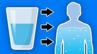 This Happens To Your Body When You Start Drinking More Water Every Day [upl. by Dylana]