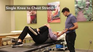 Wellstar OrthoSport How to Stretch for Sciatica Pain Relief [upl. by Alidus]