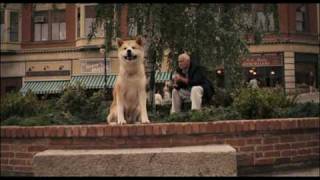 How Hachiko Died  Story of hachiko part 3 [upl. by Nhguavaj]