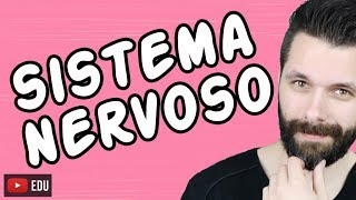 SISTEMA NERVOSO  FISIOLOGIA  Aula  Biologia com Samuel Cunha [upl. by Redyr]