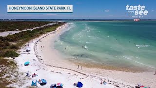 Honeymoon Island State Park  Dunedin Florida  Taste and See Tampa Bay [upl. by Enomad]