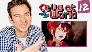 DOCTOR reacts to CELLS AT WORK  Episode 12  quotHemorrhagic Shock Part 1quot [upl. by Sasnak180]