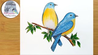 How to draw Eastern Bluebirds step by step [upl. by Etnuahc]