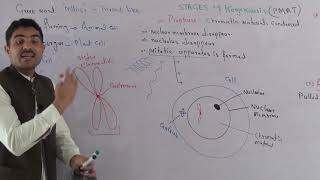 L8 Cell Membrane Models structure composition and function in Urdu Hindi By Dr AHadi [upl. by Beattie]