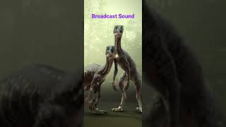 Troodon Broadcast SoundThe Isle Evrima [upl. by Akla292]