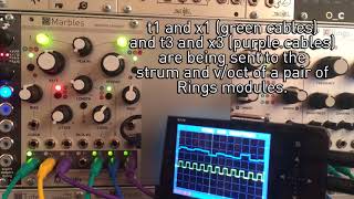 Mutable Instruments Marbles Overview [upl. by Etiragram]