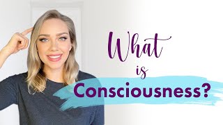 The Levels of Consciousness Explained [upl. by Aivatahs]