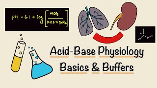 Acid Base Physiology  Part One  Basics  Buffers  Renal Physiology [upl. by Oeflein]