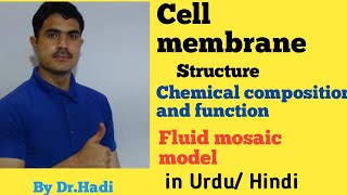 L13 Ribosome Structure components and function lecture 13 in Urdu Hindi by Dr Hadi [upl. by Derraj]