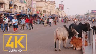 Everyday Life of Puri  4K Travel Film  Incredible India  Cities of the World [upl. by Yanehc509]