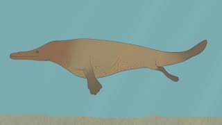 From Feet to Flippers The Evolution of Whales [upl. by Airod]