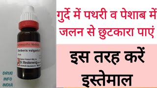 Berberis Vulgaris uses amp benefits in Hindi  गुर्दे की पथरी की छुटकारा [upl. by Poock]