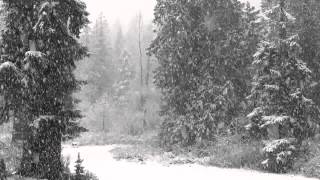 Fast Falling Snow 1080p Hd Without Music  4 hours [upl. by Renato]