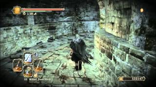 Dark Souls 2  Giant Memories Farming Guide  Unlimited Bonfire Ascetics and Soul Vessels [upl. by Dorie]