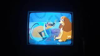 Lady and the Tramp 1955  The Siamese Cat Song [upl. by Tien]