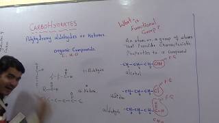 Primary structure of protein in Detail in English by Dr Hadi [upl. by Selry]