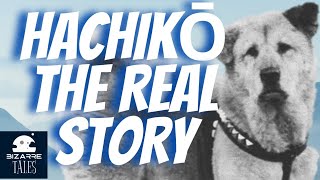 Hachiko A Dogs Story  Soundtrack  New Home [upl. by Nej]