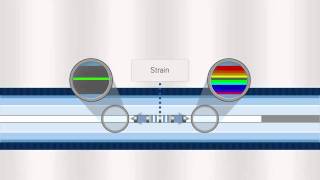 FBG Optical Sensing Overview [upl. by Arthur]