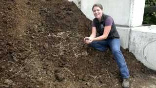 Composting with Horse Manure [upl. by Kirschner902]