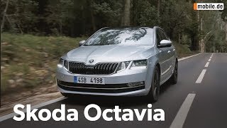 KurzCheck mobilede  Skoda Octavia [upl. by Maroj]