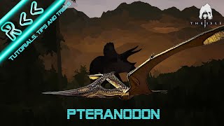 Pteranodon Fishing Flying and Controls Tutorial and Tips for The Isle [upl. by Rizan]