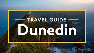 Dunedin Vacation Travel Guide  Expedia [upl. by Ilac159]