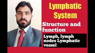 L13 Lymphatic System Structure and Function [upl. by Aimac195]