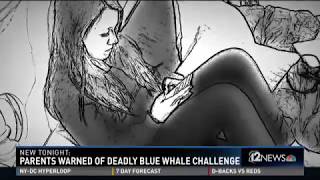 What is the Blue Whale Challenge [upl. by Areval]