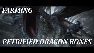 Dark Souls 2  Petrified Dragon Bone Farming [upl. by Lucia]