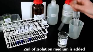 Photosynthesis in chloroplasts Hill Reaction [upl. by Nohsad105]