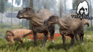 A Dinosaur Family  Life of a Maiasaura  The isle [upl. by Ehtnax]